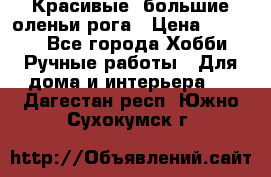 Красивые  большие оленьи рога › Цена ­ 3 000 - Все города Хобби. Ручные работы » Для дома и интерьера   . Дагестан респ.,Южно-Сухокумск г.